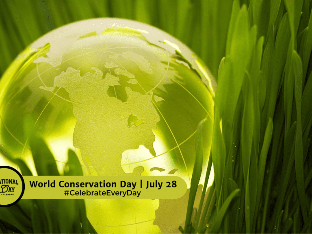 World Environment Day: A Global Call to Protect Our Planet – CFS News